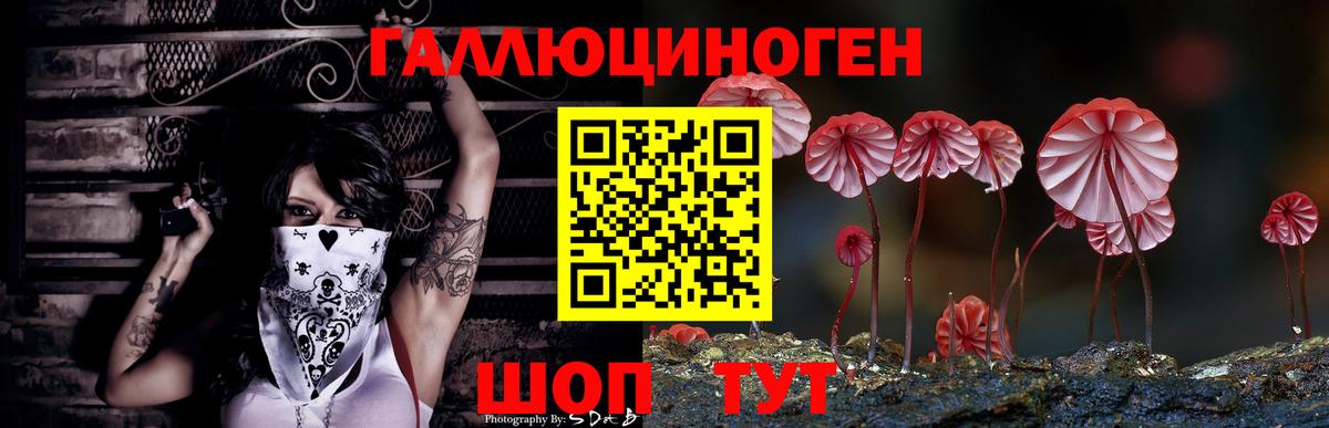 Псилоцибиновые грибы Magic Shrooms  Вход с VPN  Каспийск 